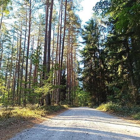 Mazurska Lesniczowka Nowy Zyzdroj Bed & Breakfast Luaran gambar