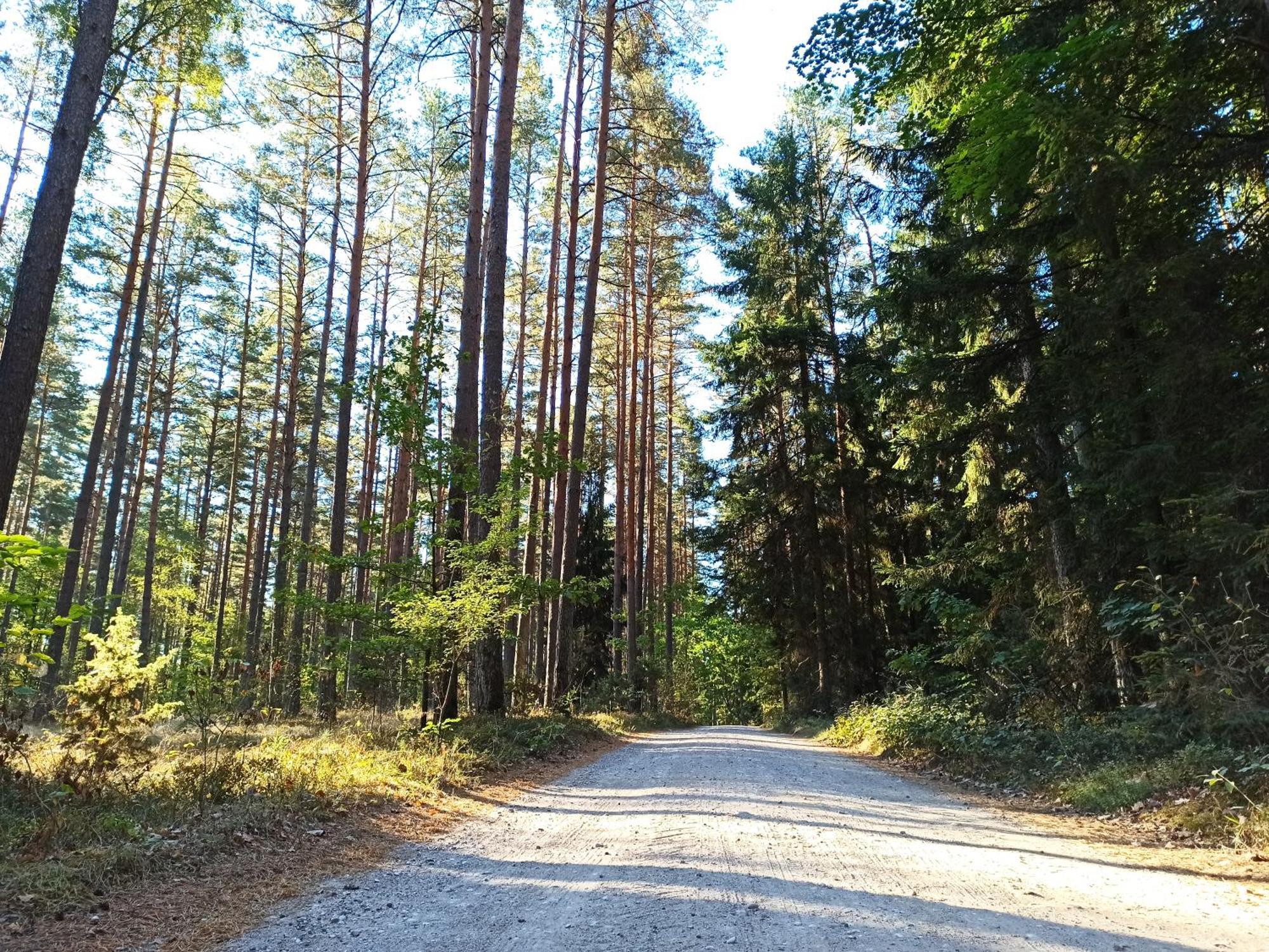 Mazurska Lesniczowka Nowy Zyzdroj Bed & Breakfast Luaran gambar