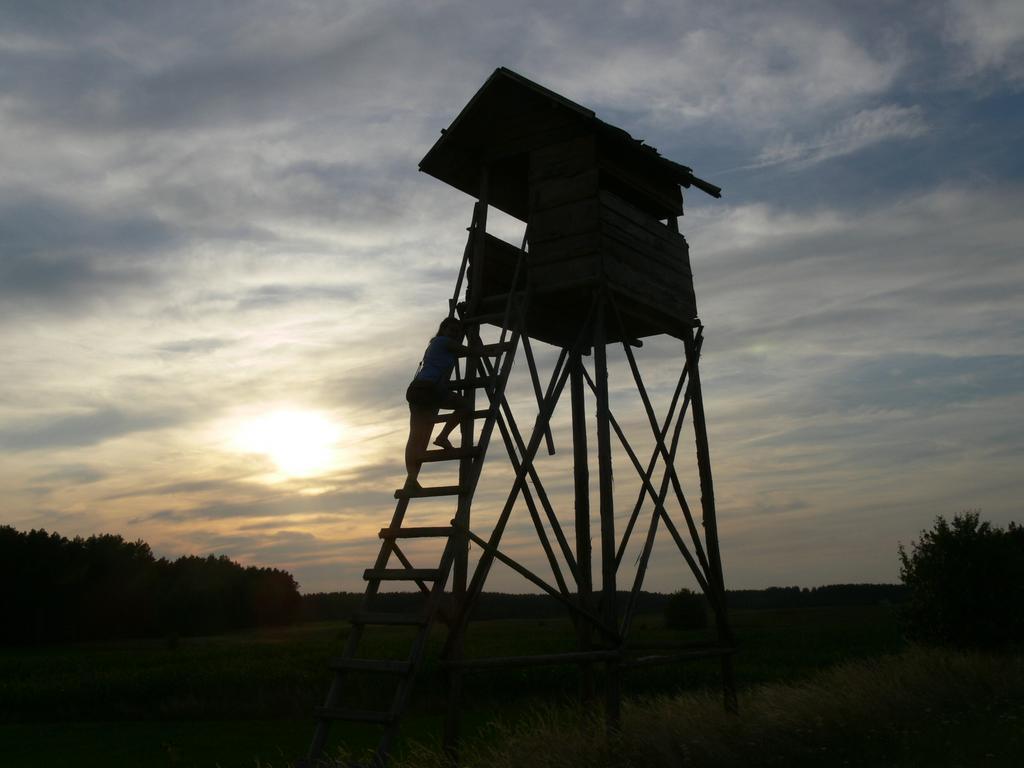 Mazurska Lesniczowka Nowy Zyzdroj Bed & Breakfast Luaran gambar